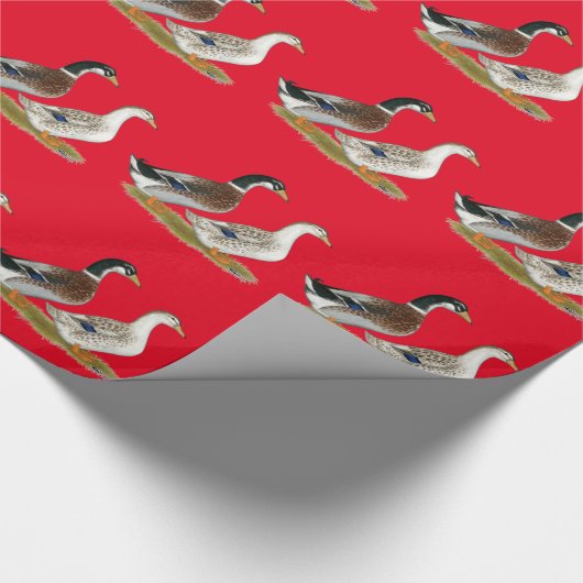 Papier Cadeau Canards : Joyeuse Argent (Coin)