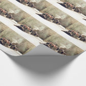 PAPIER CADEAU CANAUX (Coin)