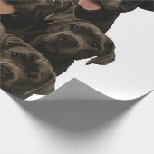 Papier Cadeau Cane Corso (Coin)