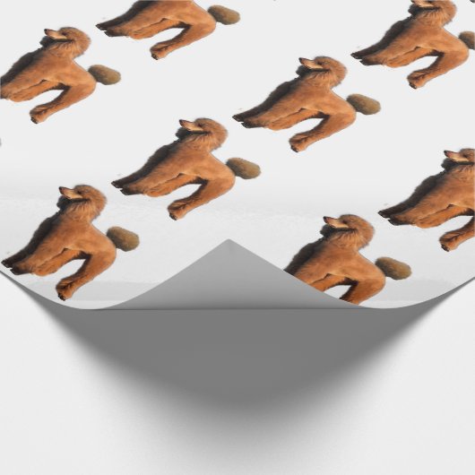 Papier Cadeau caniche rouge (Coin)