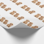 Papier Cadeau Caniches (Coin)