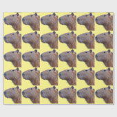 Papier Cadeau Capybara (Plat)