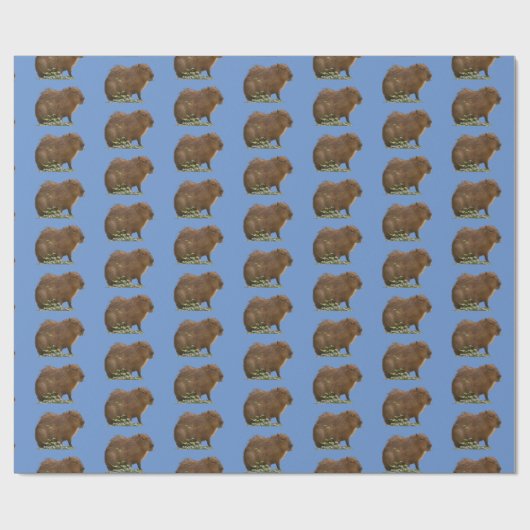 Papier Cadeau Capybara (Plat)