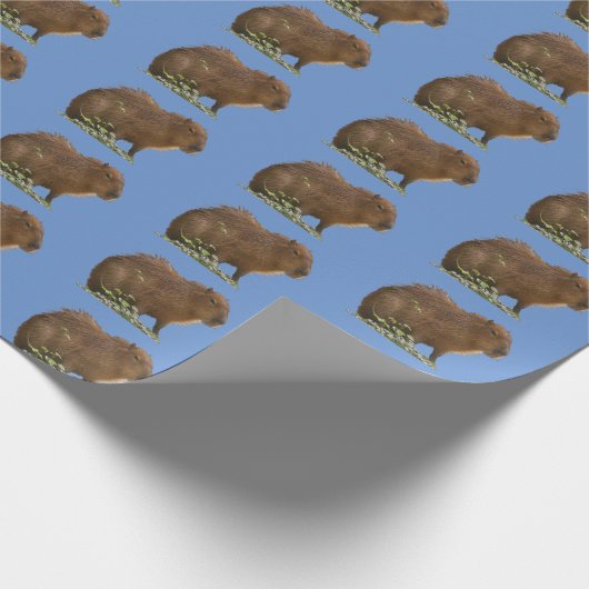 Papier Cadeau Capybara (Coin)
