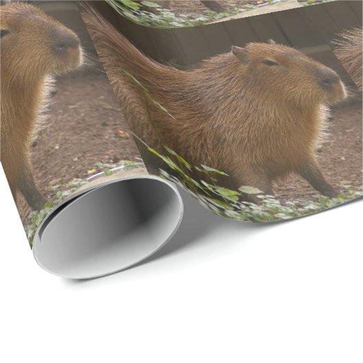 Papier Cadeau Capybara (Coin rond)
