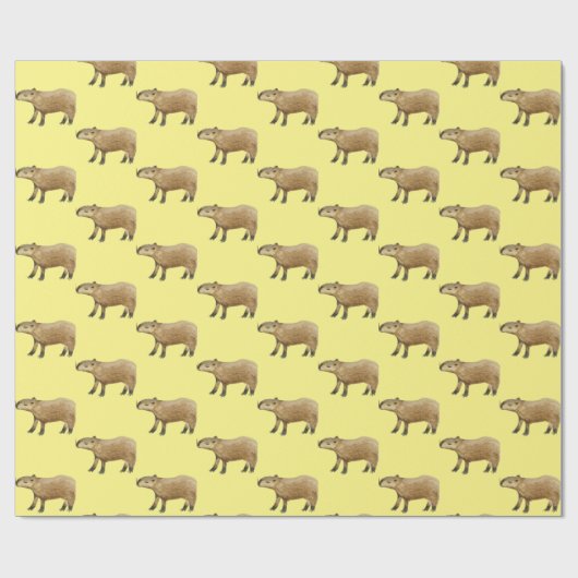 Papier Cadeau Capybara (Plat)