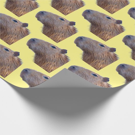 Papier Cadeau Capybara (Coin)