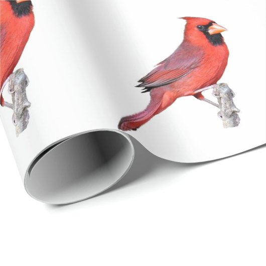Papier Cadeau Cardinal (Coin rond)