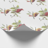 Papier Cadeau Cardinal du Nord par Audubon (Coin)