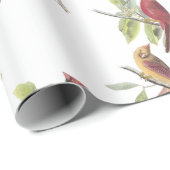 Papier Cadeau Cardinal du Nord par Audubon (Coin rond)