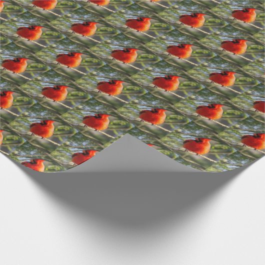 Papier Cadeau Cardinal rouge (Coin)