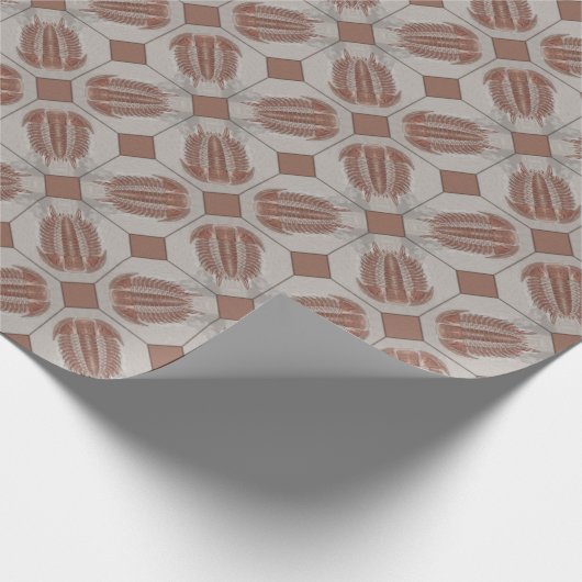 Papier Cadeau Carite Trilobite (Coin)