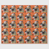 PAPIER CADEAU CARLIN (Plat)
