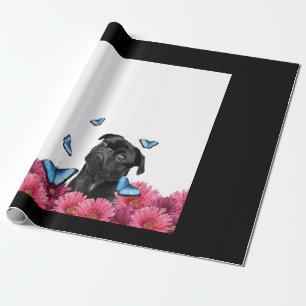 Papier Cadeau Carlin Noir Avec Papillons Bleus Et Gerberas