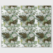 Papier Cadeau Carolina Pigeon Audubon Morning Dove (Plat)