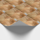 Papier Cadeau Carreau Motif de fourrure Red Fox (Coin)