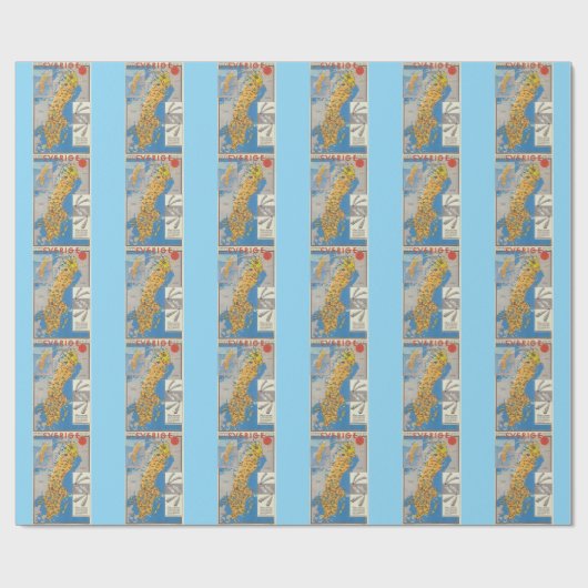Papier Cadeau Carte de Suède (Plat)