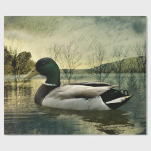 Papier Cadeau Carte postale Patinée vintage Mallard Duck