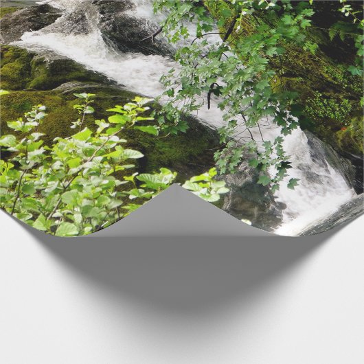 PAPIER CADEAU CASCADE (Coin)