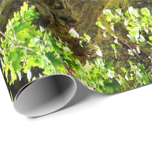 PAPIER CADEAU CASCADE (Coin rond)