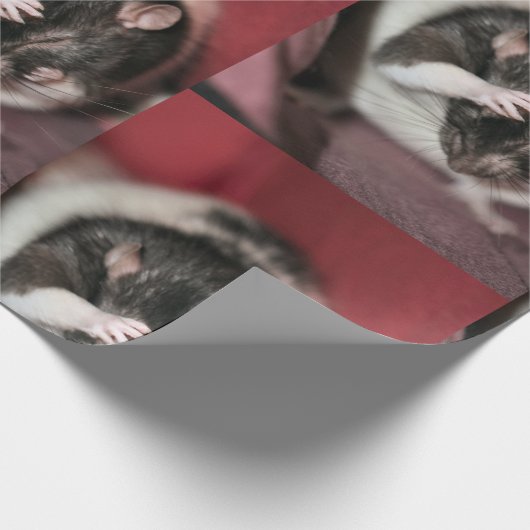 Papier Cadeau Casque (Coin)