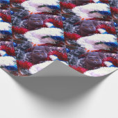 Papier Cadeau Cat bleu britannique (Coin)