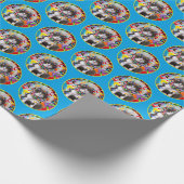 Papier Cadeau Cat In Party Cone (Coin)
