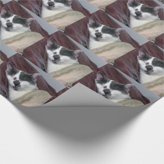 Papier Cadeau Cat Napping (Coin)