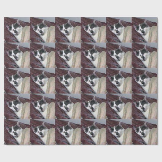 Papier Cadeau Cat Napping (Plat)