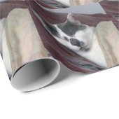 Papier Cadeau Cat Napping (Coin rond)