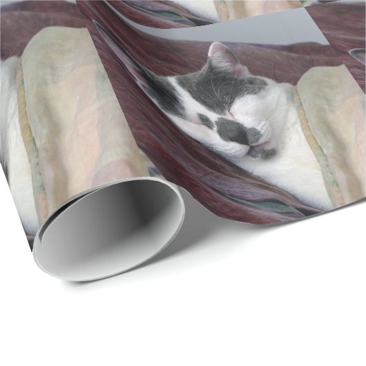 Papier Cadeau Cat Napping (Coin rond)