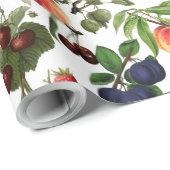 Papier Cadeau Ce vintage sentiment fruité (Coin rond)