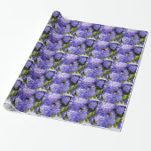 Papier Cadeau Ceanothus Flower Bees (Déroulé)
