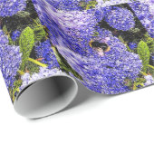Papier Cadeau Ceanothus Flower Bees (Coin rond)