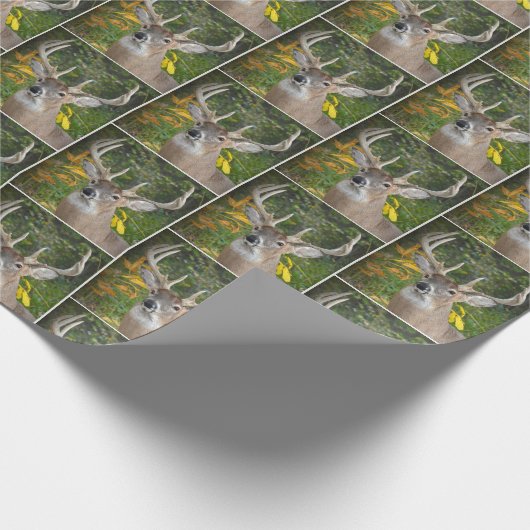 Papier Cadeau cerf à gros seins dans les bois (Coin)