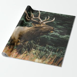 Papier Cadeau CERF Brown EN GRAS VERT PENDANT LA JOURNÉE