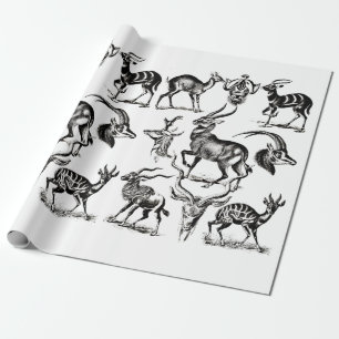Papier Cadeau Cerf Buck Antilope Animaux Illustrations faune