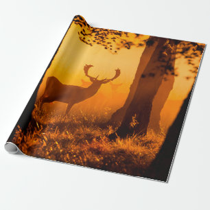 Papier Cadeau Cerf dans une forêt danoise, automne, belle, denma