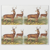 Papier Cadeau Cerf de Virginie (Cervus Richardsonii) (Plat)