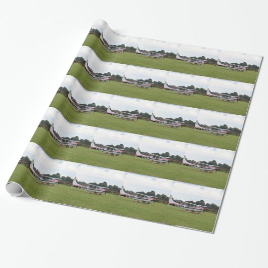 Papier Cadeau Cessna 182Q (Déroulé)
