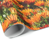 Papier Cadeau Champ abondant des chrysanthèmes d'or et de (Coin rond)