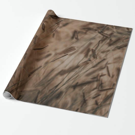 PAPIER CADEAU CHAMP BLÉ (Déroulé)