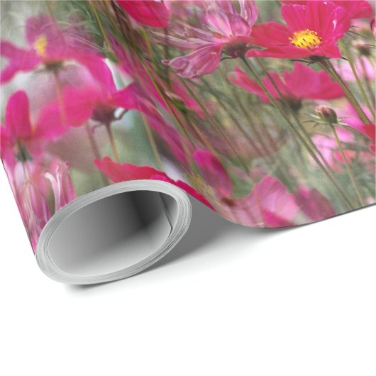 Papier Cadeau Champ de Cosmos....... (Coin rond)