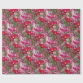 Papier Cadeau Champ de Cosmos....... (Plat)