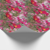Papier Cadeau Champ de Cosmos....... (Coin)