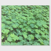 Papier Cadeau champ de papier d'emballage de trèfle (Plat)