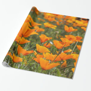 Papier Cadeau Champ de pavots de Californie