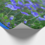 Papier Cadeau Champ des myosotis des marais (Coin)