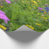 Papier Cadeau Champ du Texas des fleurs sauvages et des (Coin)