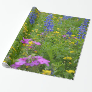 Papier Cadeau Champ du Texas des fleurs sauvages et des